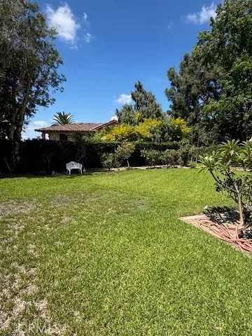 a view of a green field with lots of bushes