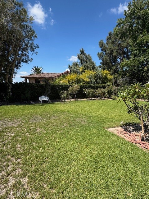 10821 Vida Drive Villa Park, CA 92861 - Photo 34 of 39 a view of a green field with lots of bushes