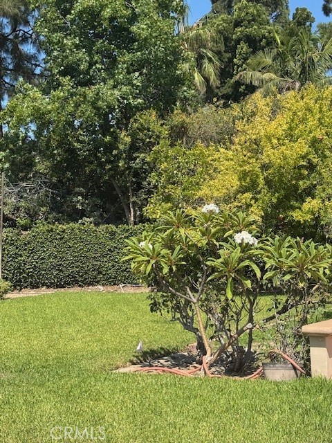 10821 Vida Drive Villa Park, CA 92861 - Photo 35 of 39 a view of yard with green space