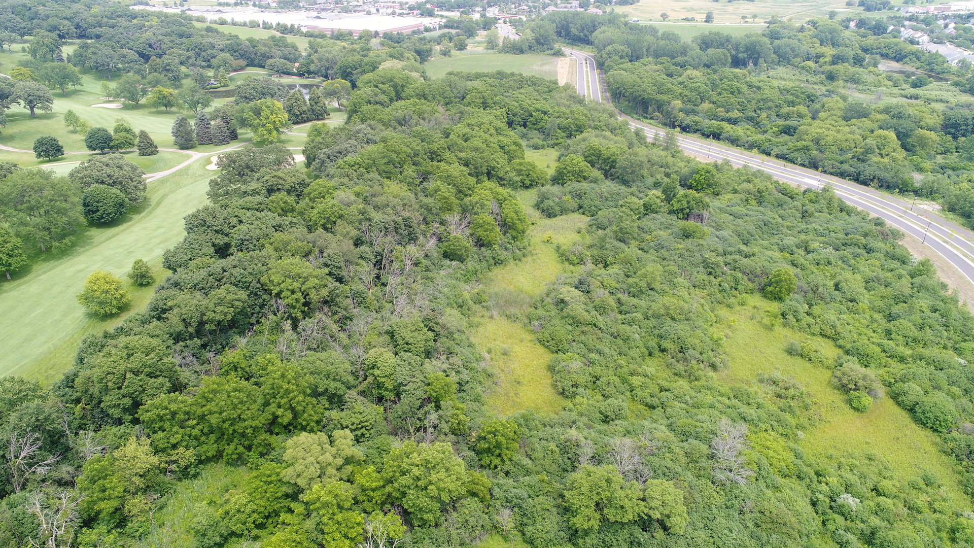 1-11 South Street Elgin, IL 60124 - Photo 2 of 8 a view of a forest with a street