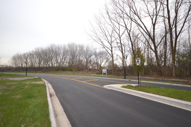 1-11 South Street Elgin, IL 60124 - Photo 3 of 8 a view of a swimming pool with a yard
