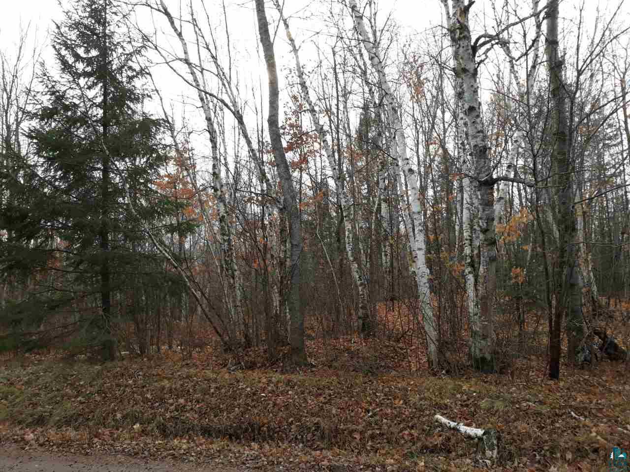 0 East Altamont Road Marengo, WI 54855 - Photo 3 of 4