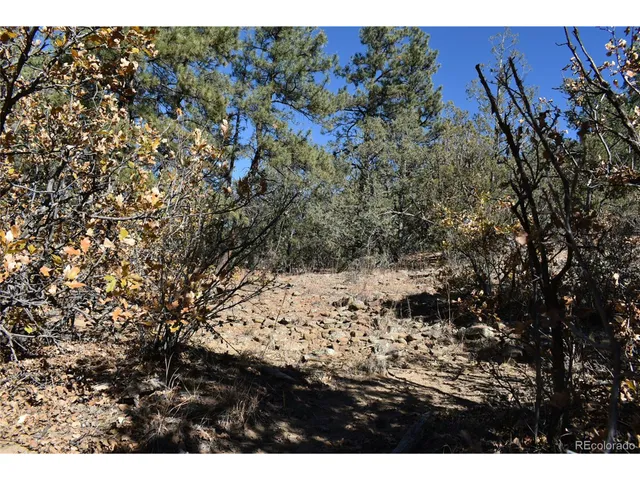 a view of outdoor space with lots of trees