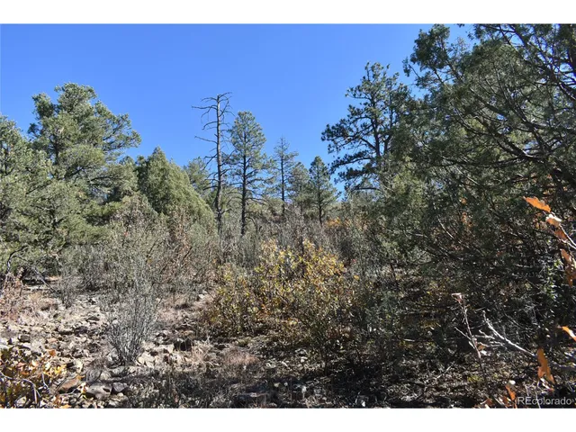 a view of a city with lush green forest