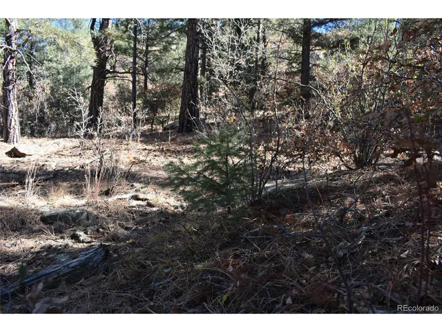 a view of covered with trees