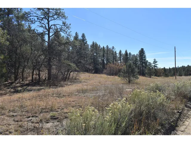 a view of a dry yard with trees