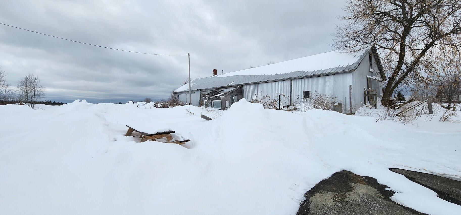 37 Ward Road Limestone, ME 04750 - Photo 47 of 49 20260218_135722
