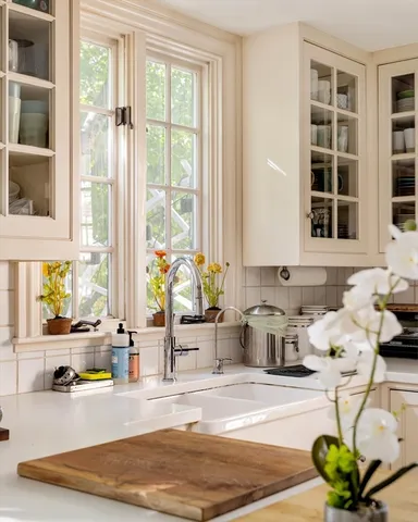 a kitchen with a sink and a potted plant