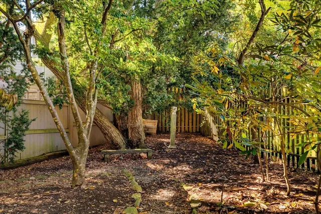 a view of a backyard