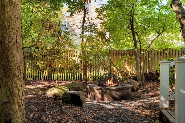 a view of a bench in backyard