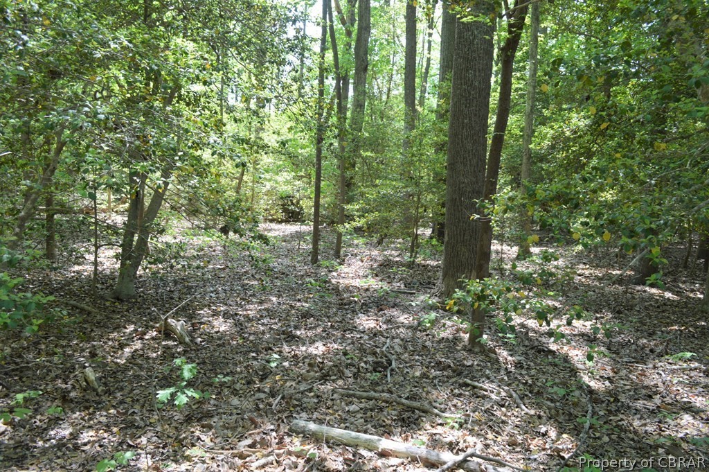 0 Forest Green Road Reedville, VA 22539 - Photo 3 of 4