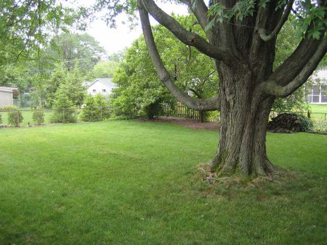 3494 Colchester Road Columbus, OH 43221 - Photo 2 of 12
