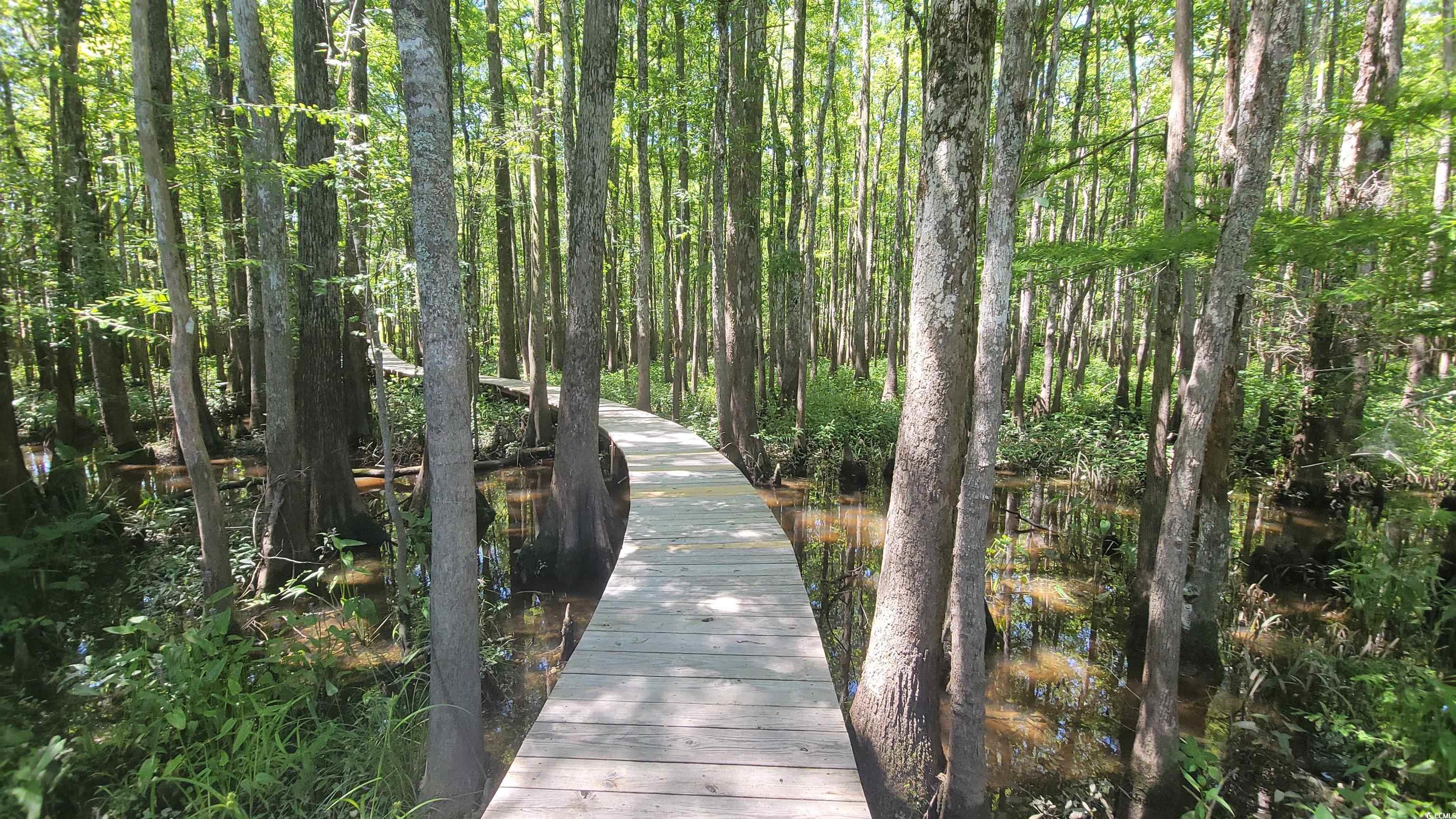 80 Stonington Drive Murrells Inlet, SC 29576 - Photo 38 of 40 Private Boardwalk to the Dock!
