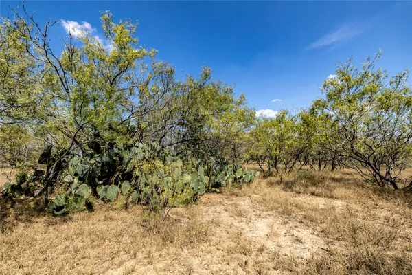 $125,400 | Tbd Lot 2 Tbd Road, Red Rock, TX 78662