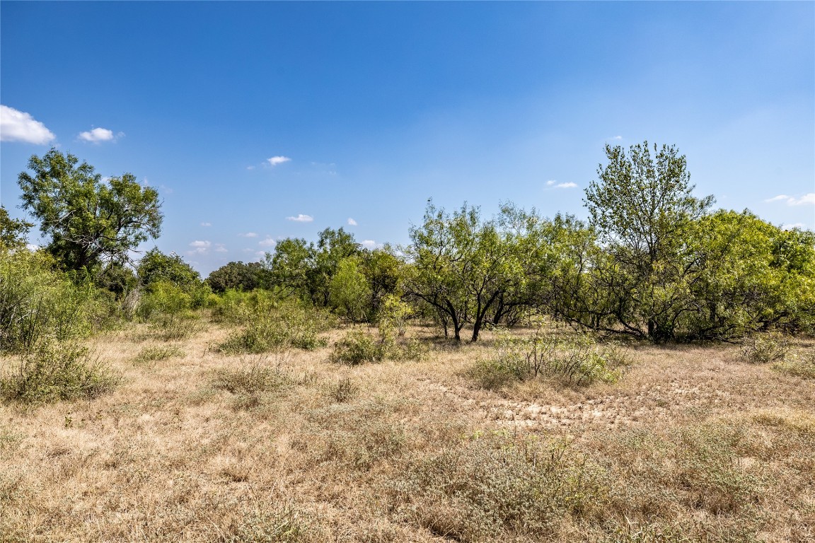 Tbd Lot 2 Tbd Road Red Rock, TX 78662 - Photo 2 of 9 a view of a dry yard with trees