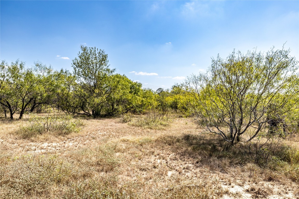 Tbd Lot 2 Tbd Road Red Rock, TX 78662 - Photo 4 of 9 a view of a yard with a tree