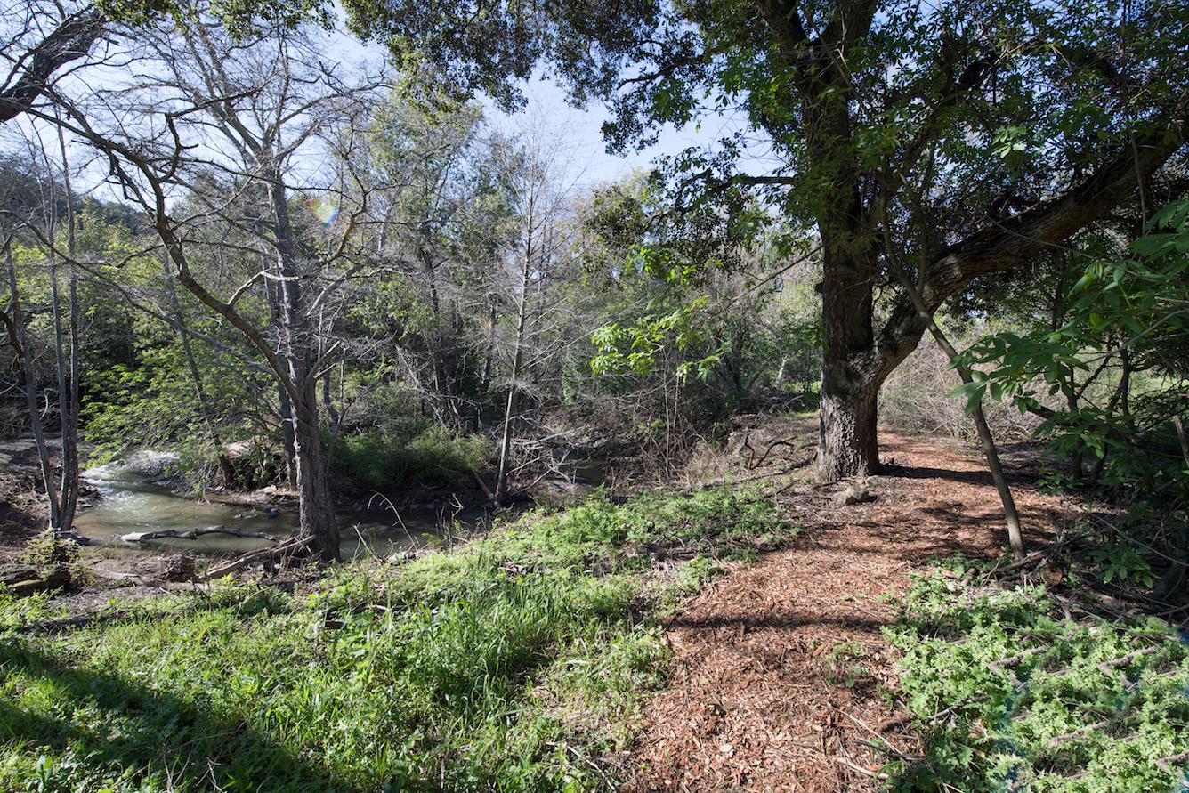 128 Los Trancos Circle Portola Valley, CA 94028 - Photo 35 of 38 a backyard of a house with lots of green space