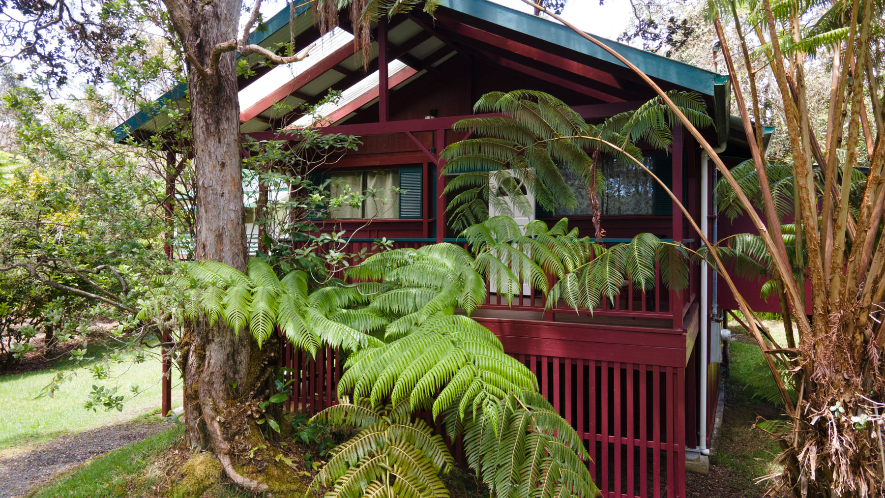 19-4144 Haunani Road Volcano, HI 96785 - Photo 6 of 30