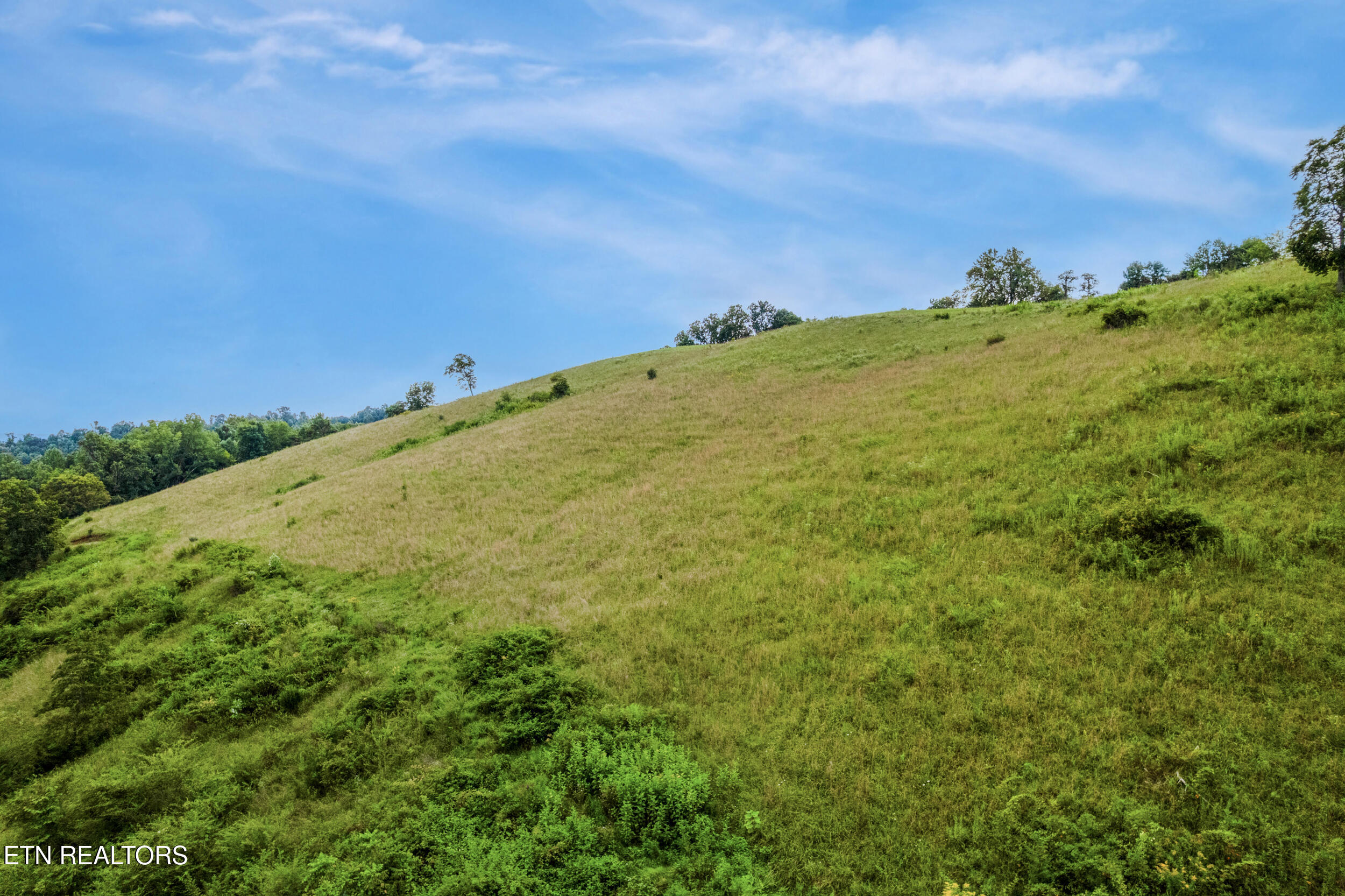 323 Vannoy Road Tazewell, TN 37879 - Photo 21 of 43 018