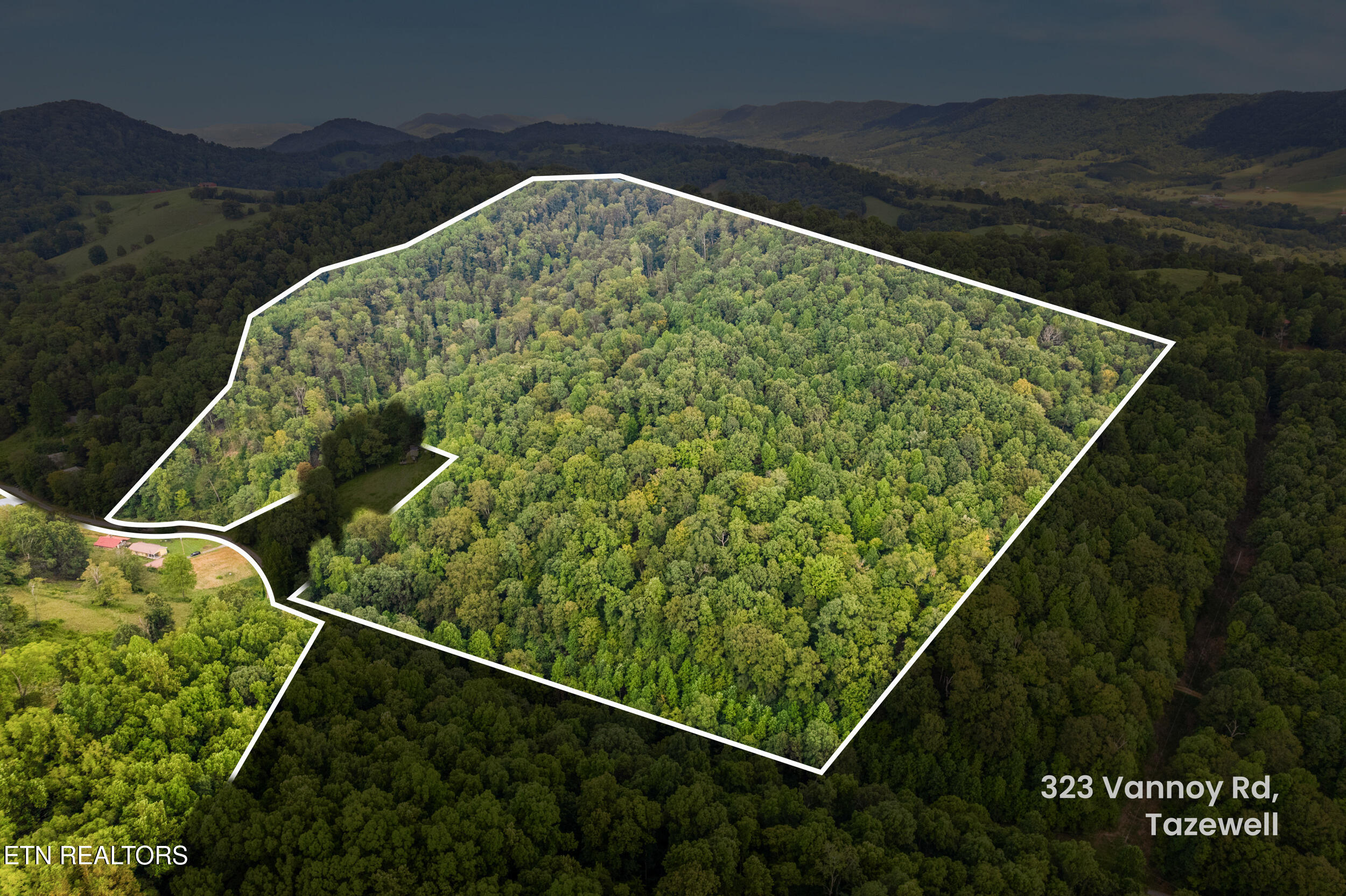 323 Vannoy Road Tazewell, TN 37879 - Photo 22 of 43 019-property lines