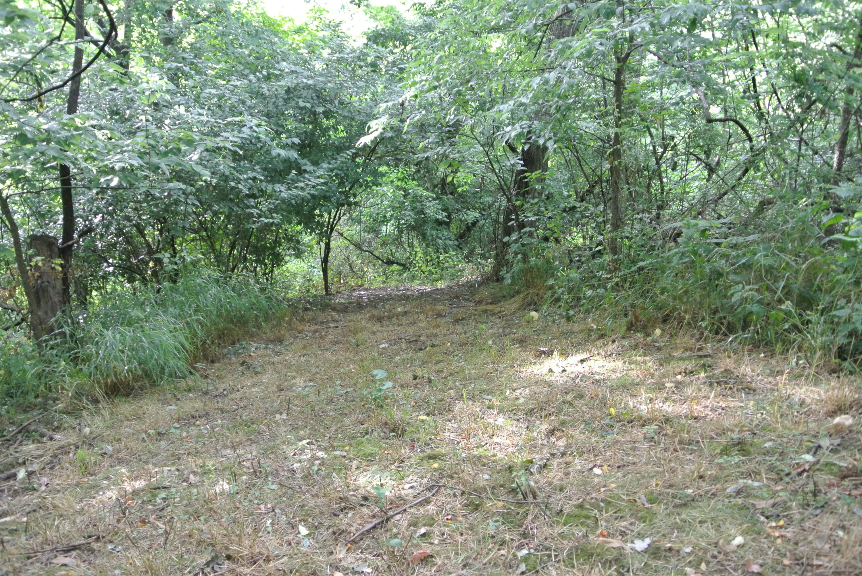 233 Vallandingham Road Dry Ridge, KY 41035 - Photo 27 of 32