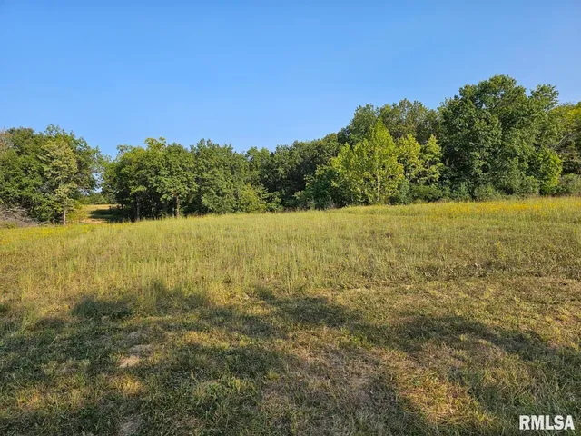 $253,995 | 0 North Stanford Lane, Opdyke, IL 62872