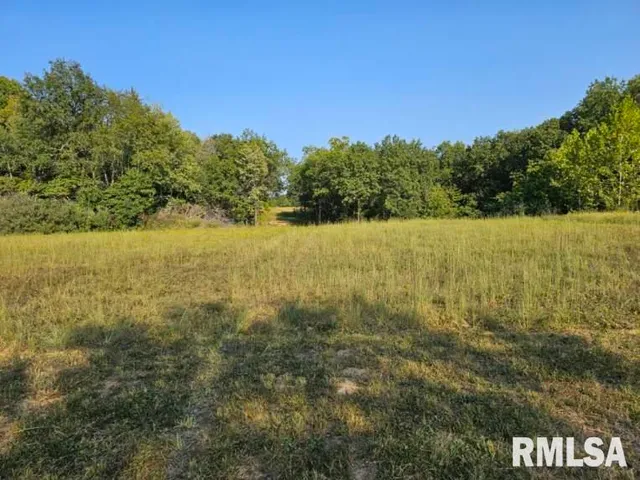 $253,995 | 0 North Stanford Lane, Opdyke, IL 62872