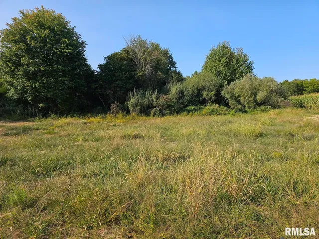 $253,995 | 0 North Stanford Lane, Opdyke, IL 62872