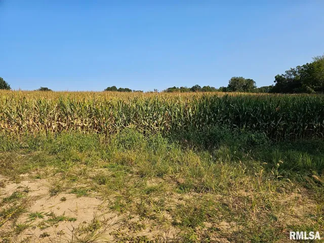 $253,995 | 0 North Stanford Lane, Opdyke, IL 62872