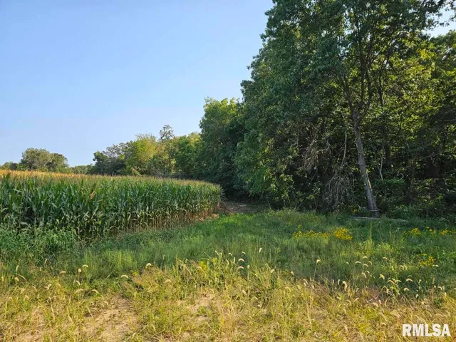 $253,995 | 0 North Stanford Lane, Opdyke, IL 62872