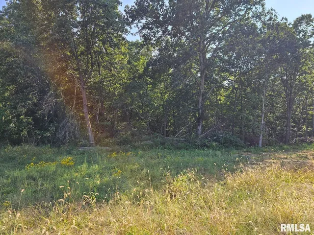 $253,995 | 0 North Stanford Lane, Opdyke, IL 62872