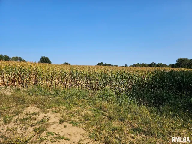 $253,995 | 0 North Stanford Lane, Opdyke, IL 62872