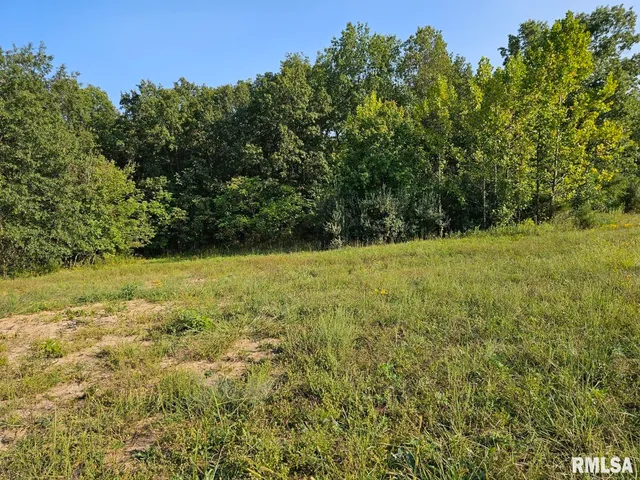 $253,995 | 0 North Stanford Lane, Opdyke, IL 62872