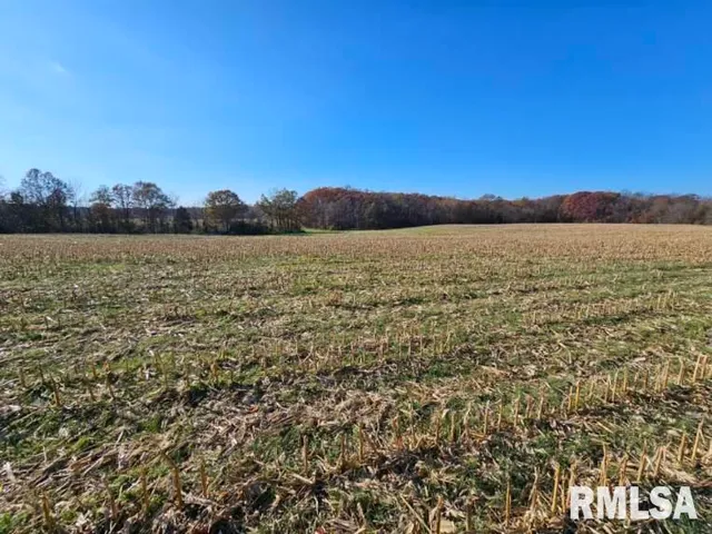 $253,995 | 0 North Stanford Lane, Opdyke, IL 62872