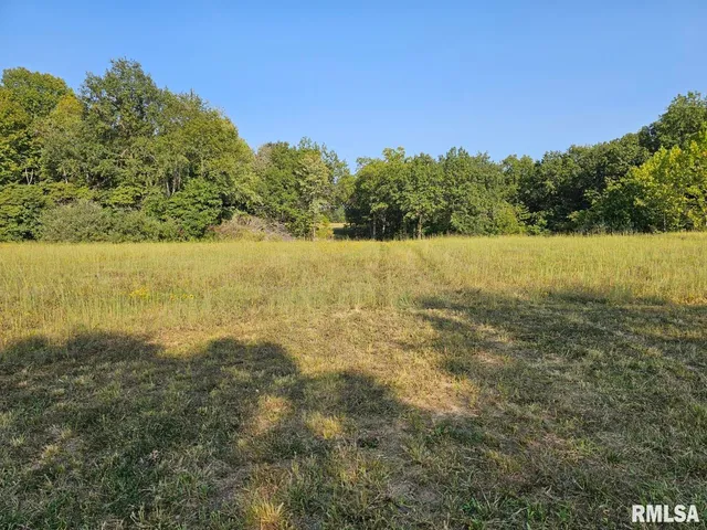 $253,995 | 0 North Stanford Lane, Opdyke, IL 62872