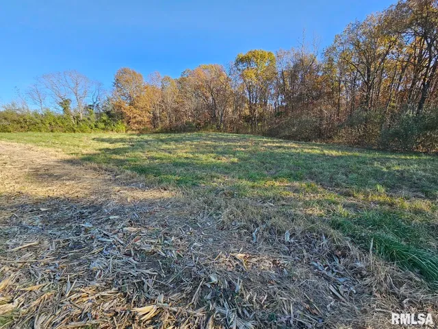 $253,995 | 0 North Stanford Lane, Opdyke, IL 62872