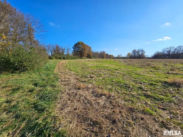 $253,995 | 0 North Stanford Lane, Opdyke, IL 62872