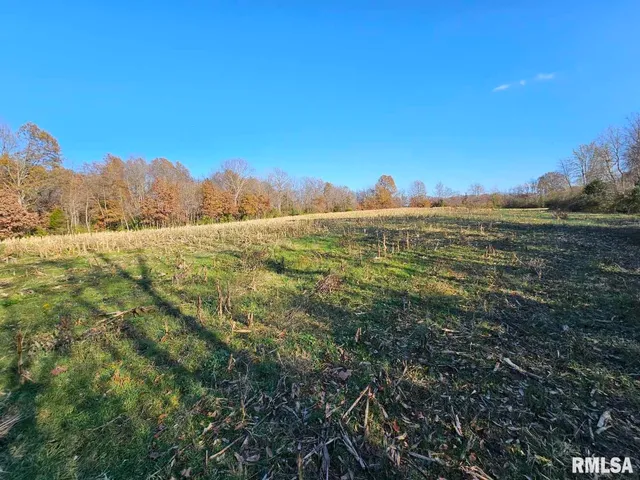 $253,995 | 0 North Stanford Lane, Opdyke, IL 62872