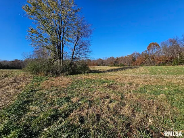 $253,995 | 0 North Stanford Lane, Opdyke, IL 62872