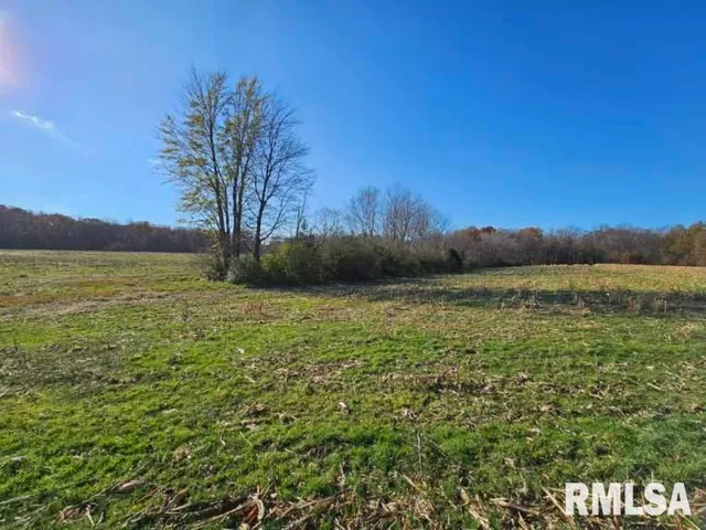 $253,995 | 0 North Stanford Lane, Opdyke, IL 62872