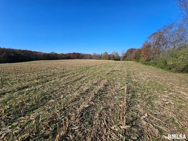 $253,995 | 0 North Stanford Lane, Opdyke, IL 62872