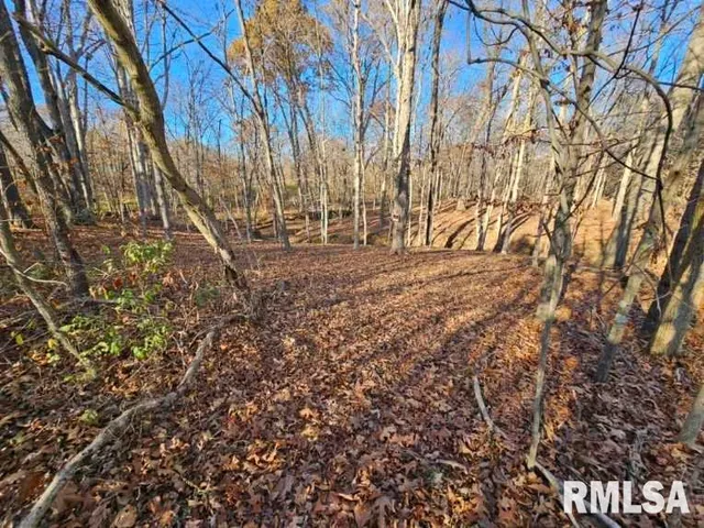 $253,995 | 0 North Stanford Lane, Opdyke, IL 62872