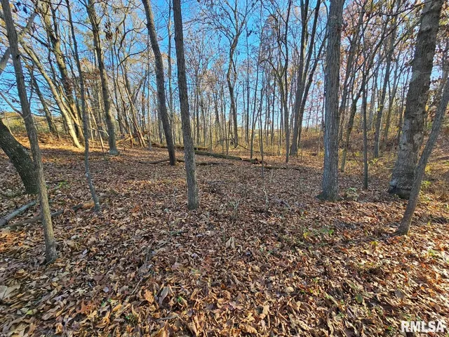 $253,995 | 0 North Stanford Lane, Opdyke, IL 62872