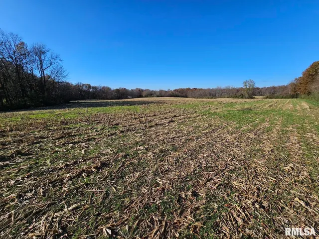 $253,995 | 0 North Stanford Lane, Opdyke, IL 62872