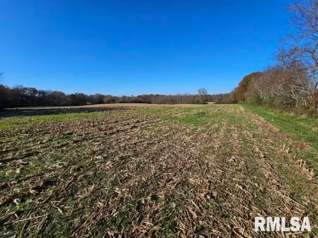 $253,995 | 0 North Stanford Lane, Opdyke, IL 62872