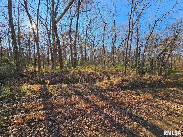 $253,995 | 0 North Stanford Lane, Opdyke, IL 62872