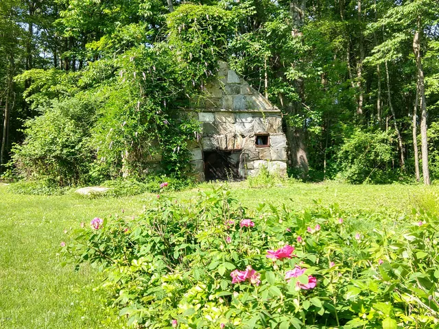 a view of a garden with a flower garden