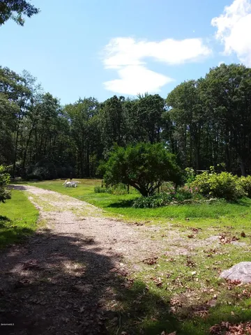 a view of a yard with a large trees