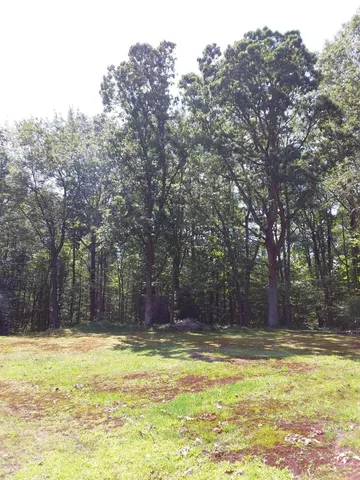 a view of swimming pool with trees in the background