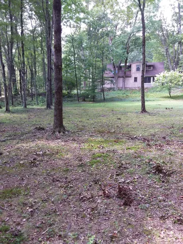 a view of a yard with trees